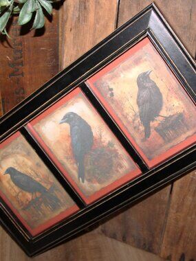 Dark Moody Gothic Raven Crow Black Bird Rustic Farmhouse Framed Trio Wall Decor